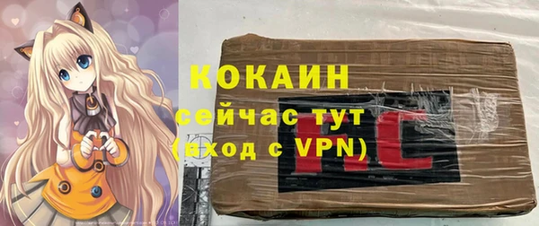 apvp Алексин
